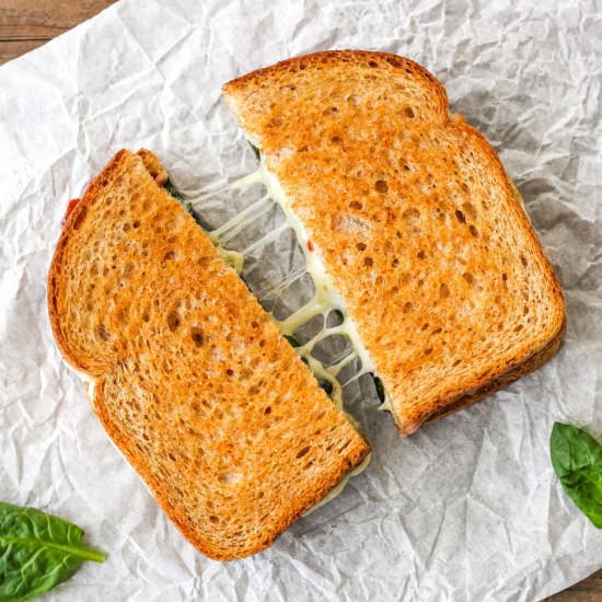 Toaster Oven Grilled Cheese Recipes