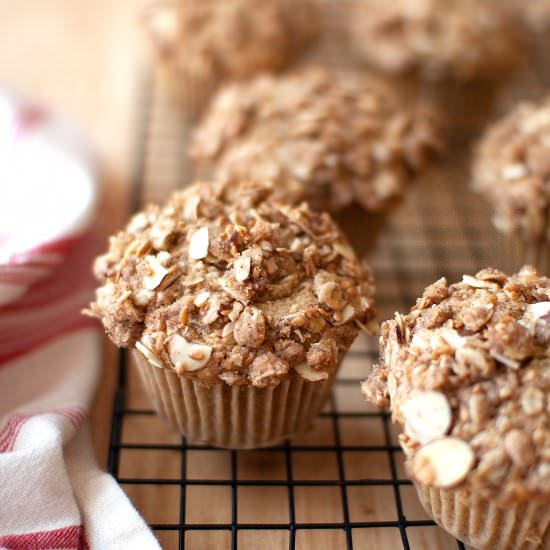 Cinnamon Oatmeal Muffins
