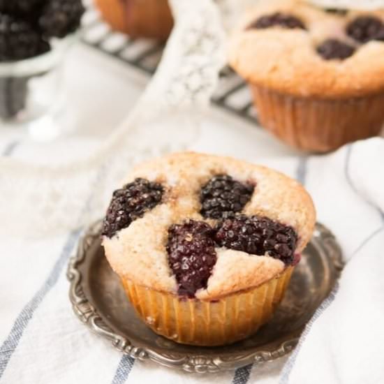BLACKBERRIES AND CREAM MUFFINS