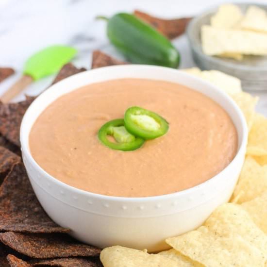 CHEESY SALSA BEAN DIP