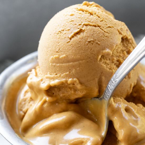 Vegan Pumpkin Oat Ice Cream