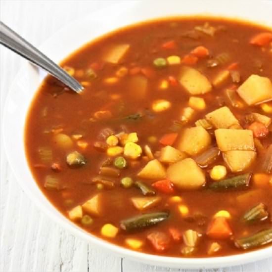 Spicy Tomato Vegetable Soup