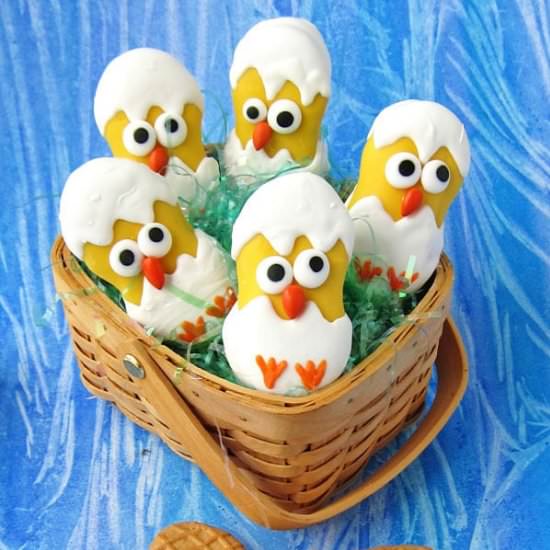 NUTTER BUTTER HATCHING CHICKS