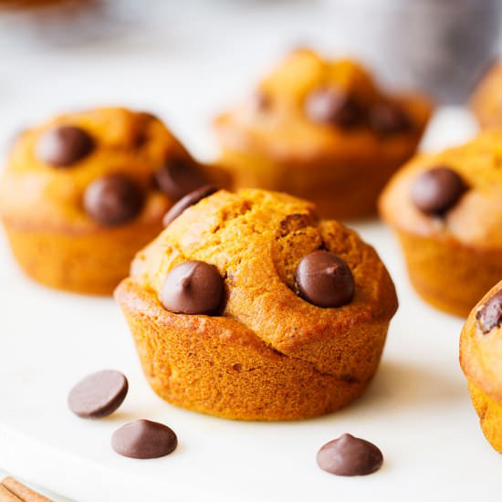 Pumpkin Chocolate Chip Muffins