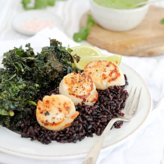 Seared Scallops + Cilantro Sauce