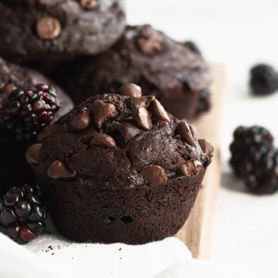 Double Chocolate Blackberry Muffins