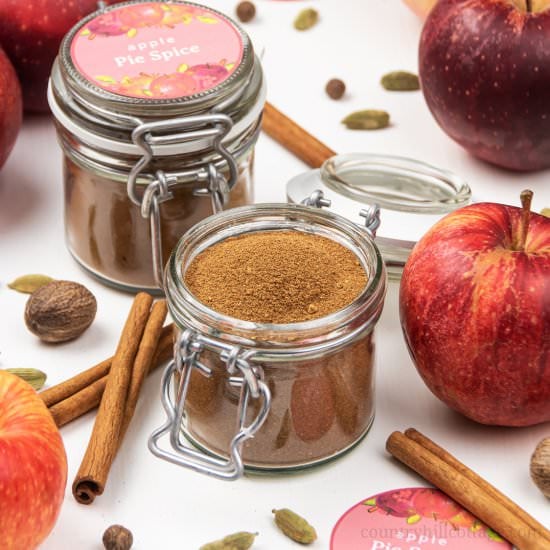 Homemade Apple Pie Spice Vegan, GF