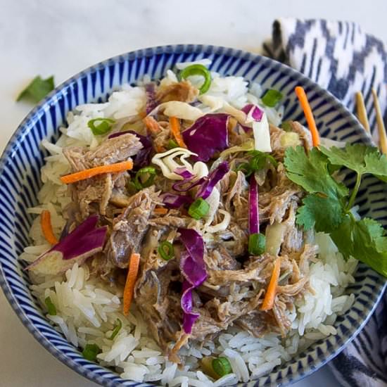 Weeknight Instant Pot Pulled Pork