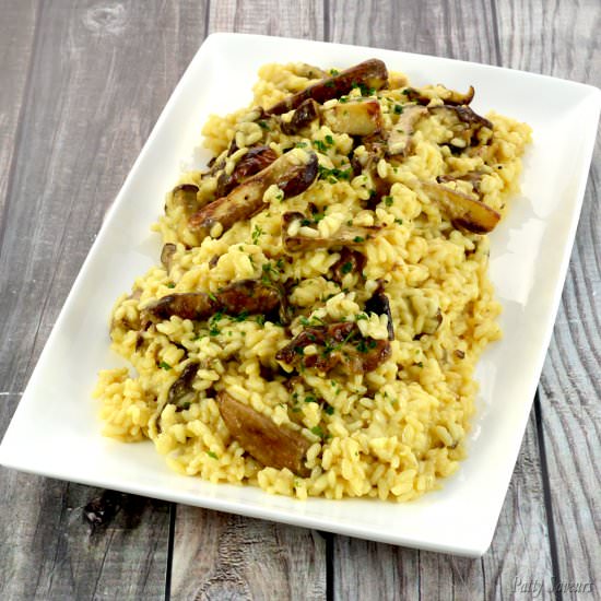 Porcini Risotto