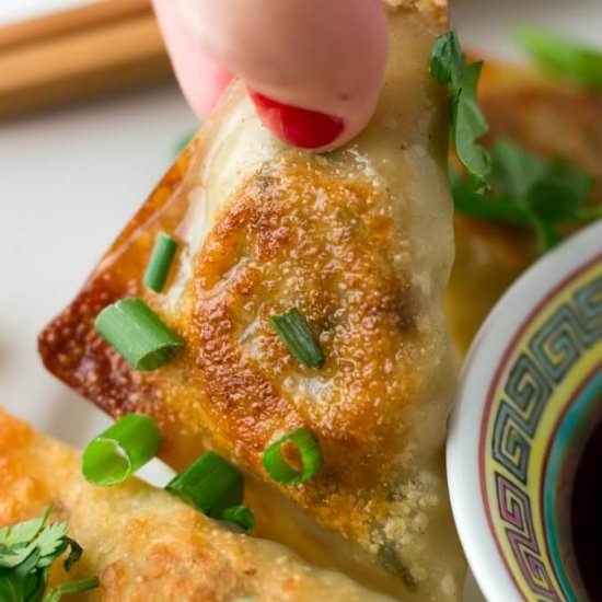 Vegetable Potsticker Dumplings