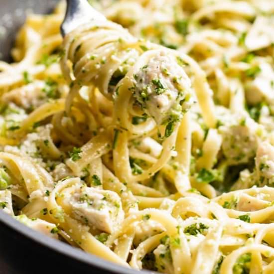 Chicken Broccoli Alfredo