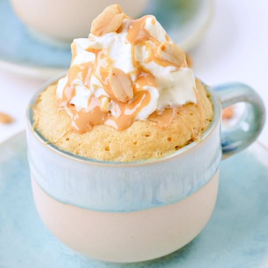 KETO PEANUT BUTTER MUG CAKE
