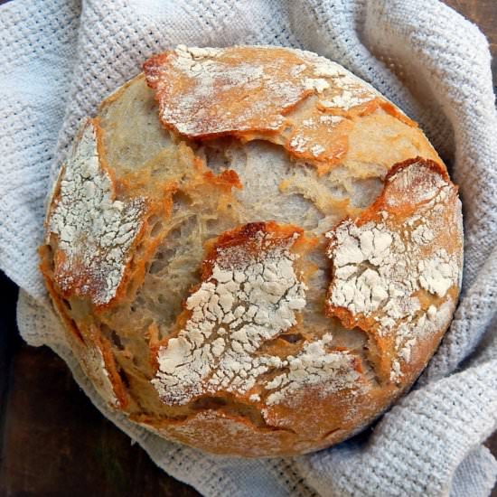 Pain de Compagne: French Sourdough