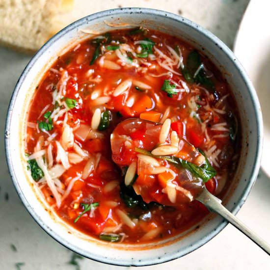 Vegetable Orzo Soup