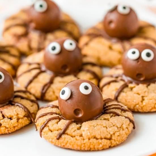 Halloween Spider Cookies