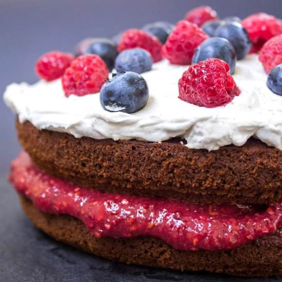 Vegan Berry Sponge Cake (gf)