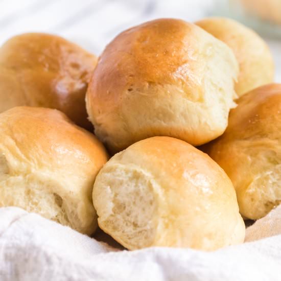 Homemade Dinner Rolls