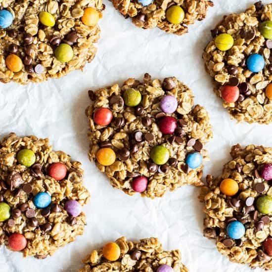 Gluten Free Monster Cookies Nutfree
