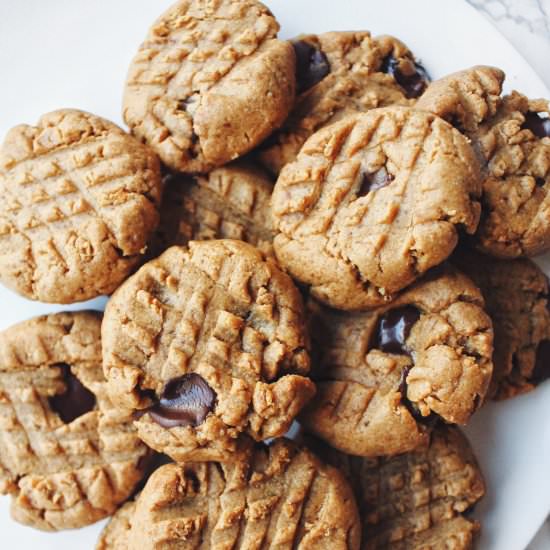 Chocolate Peanut Butter Cookies