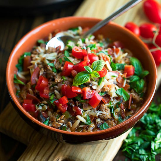 Instant Pot Orzo