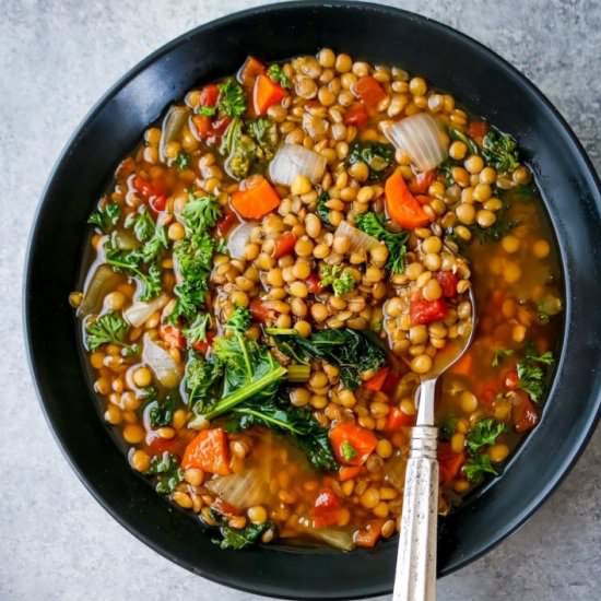 Slow Cooker Lentil Soup