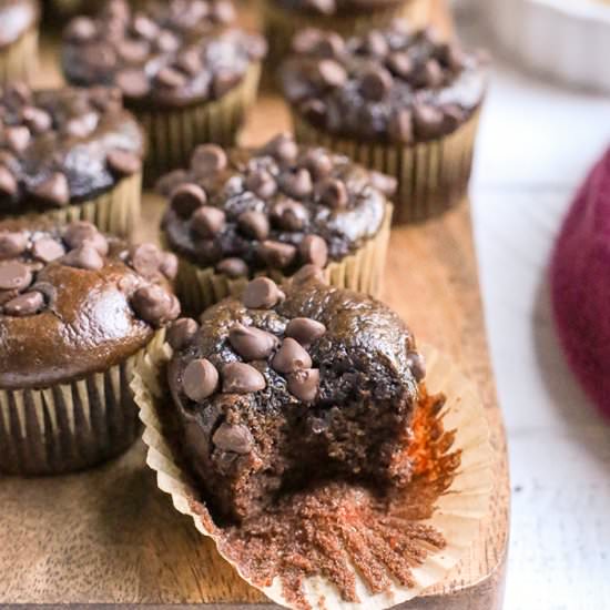 Paleo Flourless Chocolate Muffins