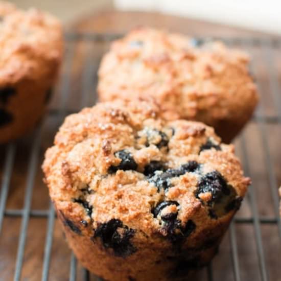 WHOLE WHEAT BLUEBERRY MUFFINS