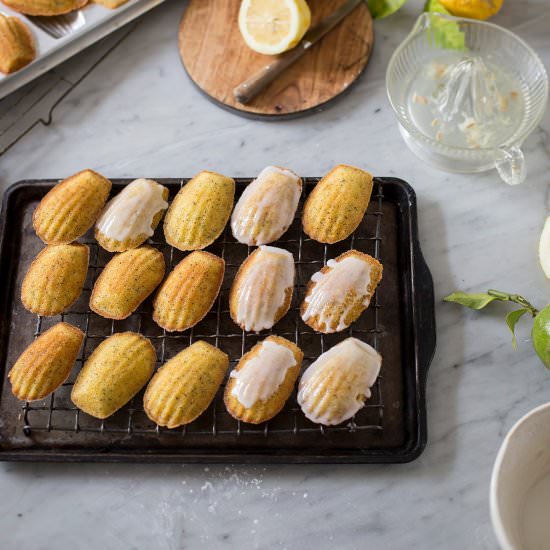 Lemon poppyseed madeleines