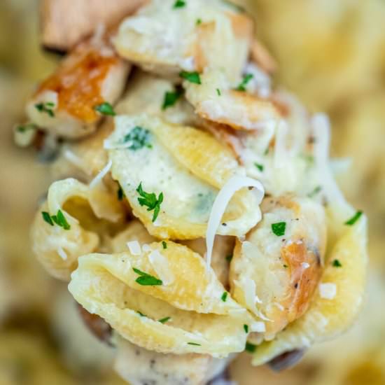 Chicken Alfredo Pasta