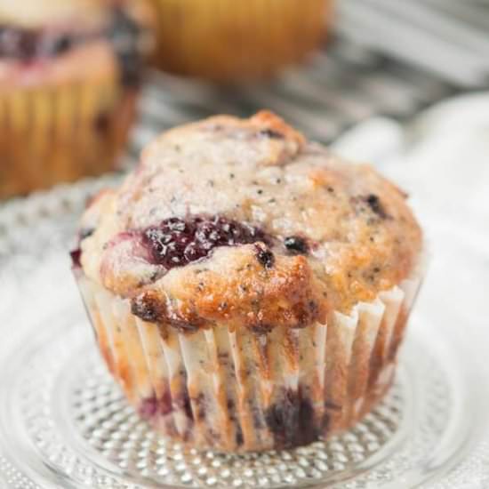 ORANGE BLACKBERRY POPPYSEED MUFFINS