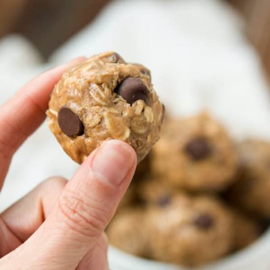 PROTEIN  CHOCOLATE ENERGY BITES