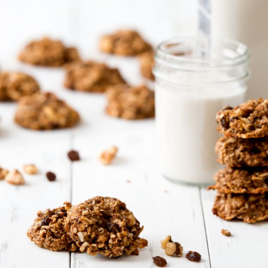 Sugar-Free Banana Breakfast Bites