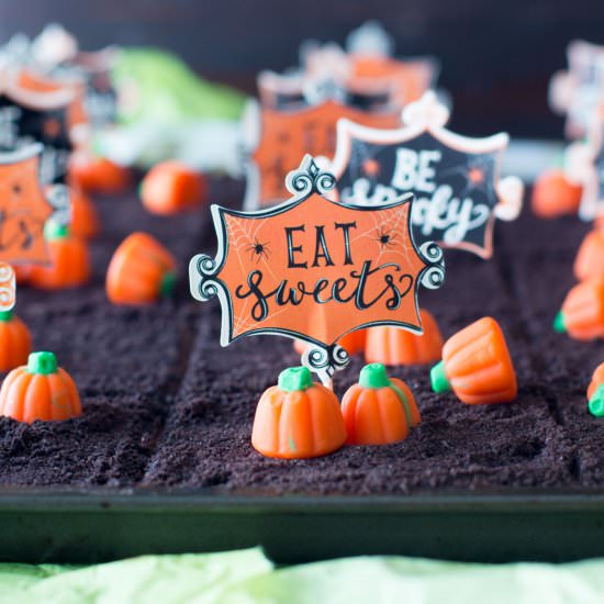 Pumpkin Patch Halloween Cookies