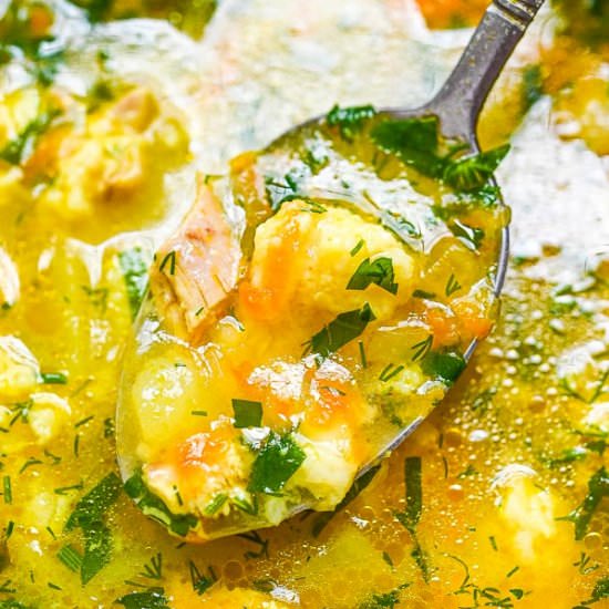 Chicken and Cheese Dumpling Soup