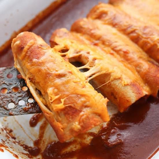 Shredded Beef Enchiladas