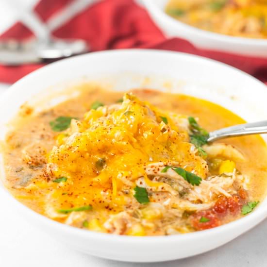 Instant Pot Southwest Chicken Soup