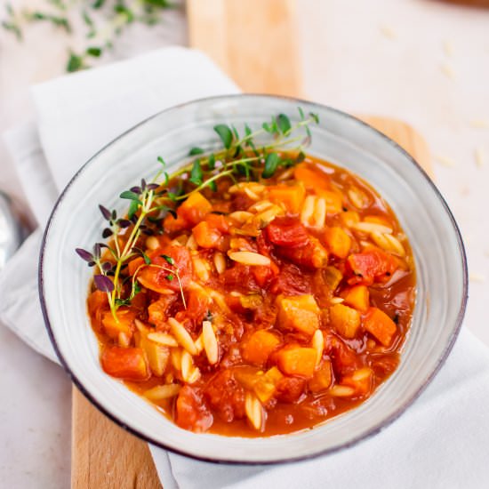 One-pot vegetable orzo soup