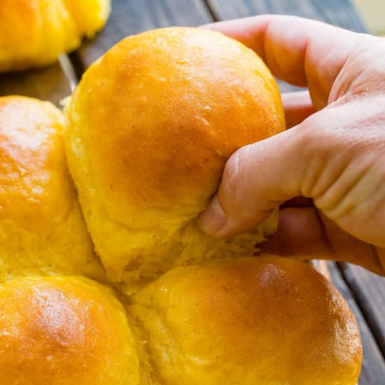 Softest Pumpkin Rolls Dinner Rolls