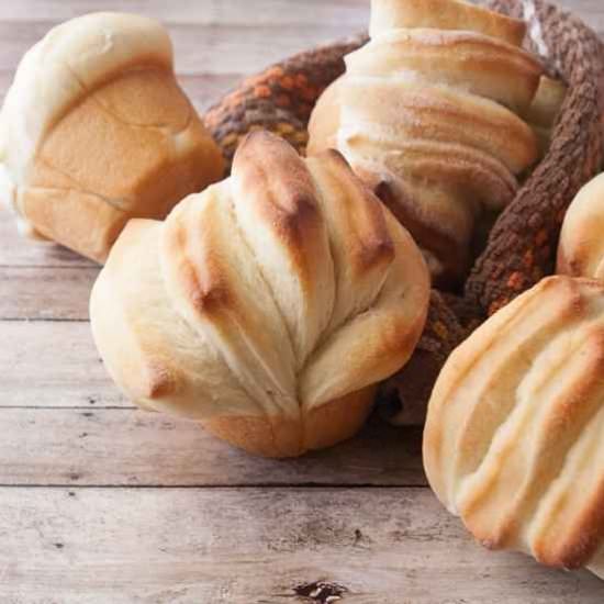 Butterflake Dinner Rolls