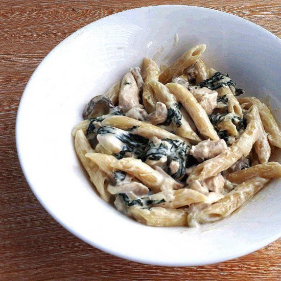 Chicken Alfredo Pasta