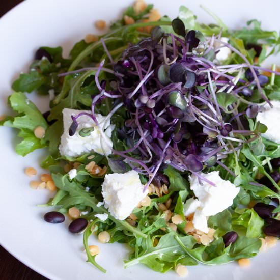 Lentils, Black Beans, Goat Cheese