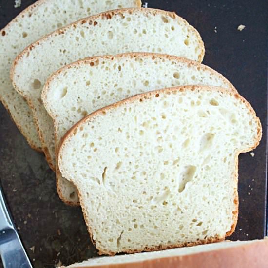 No Knead Sandwich Bread