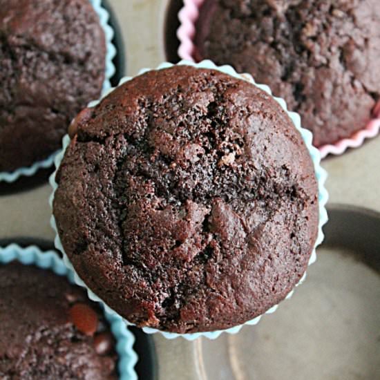 Double Chocolate Muffins