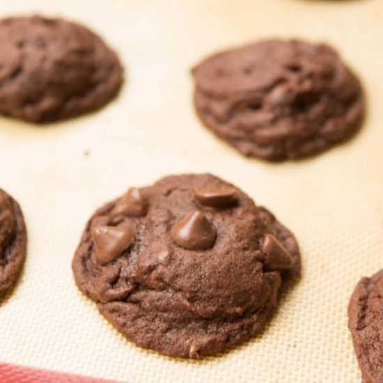 Chocolate Peanut Butter Cookies