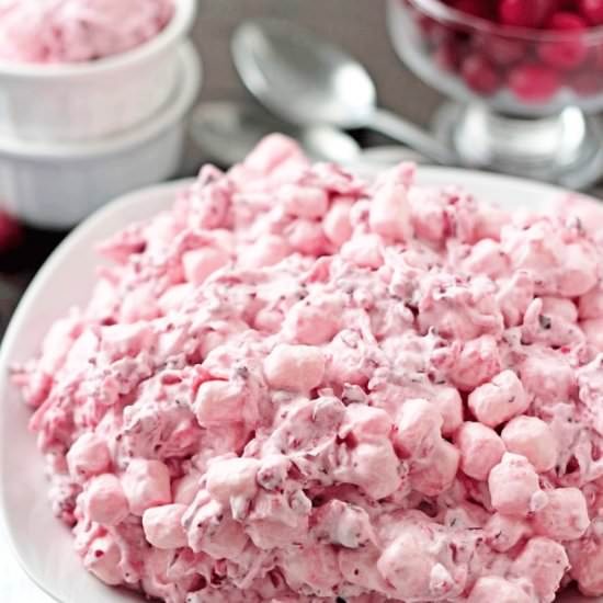 Cranberry Salad