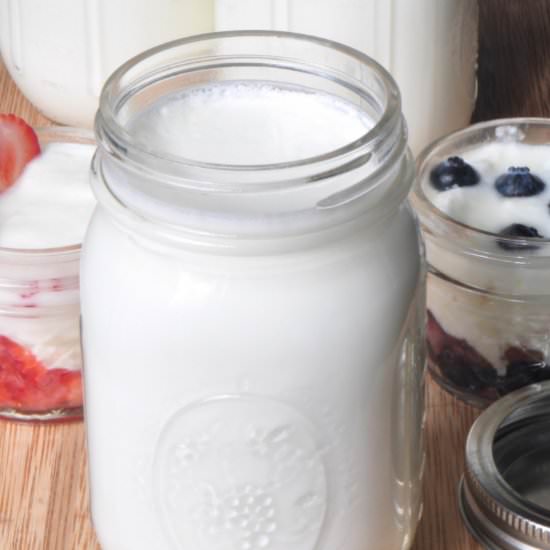 Yogurt made in Instant Pot