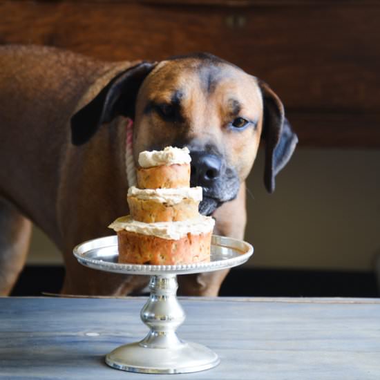 A birthday cake for your pup!