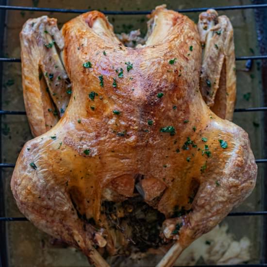 Latin Style Roasted Turkey
