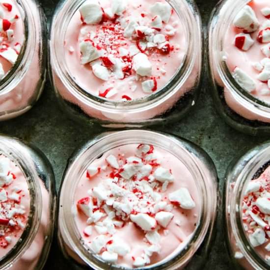 No-Bake Peppermint Cheesecakes