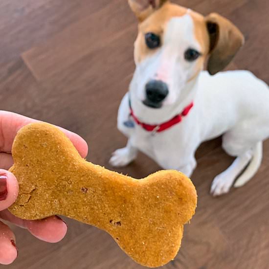 Homemade Peanut Butter Dog Treats